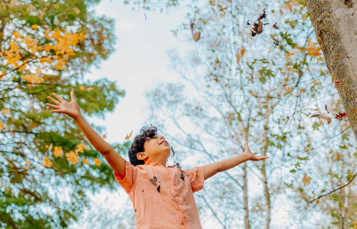 Child looking up to the sky with autumn leaves and trees overhead